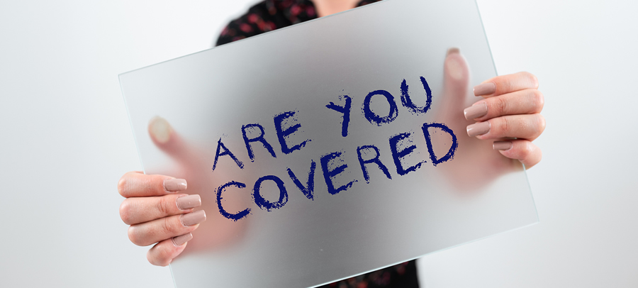Consultant reviewing health insurance options with a client